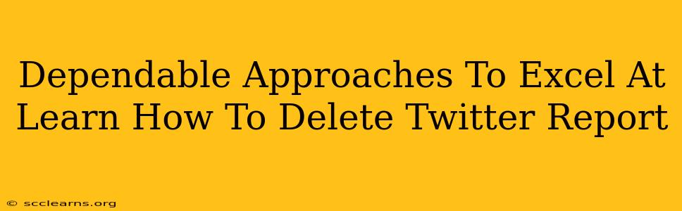 Dependable Approaches To Excel At Learn How To Delete Twitter Report