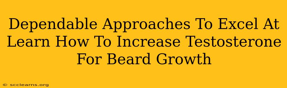 Dependable Approaches To Excel At Learn How To Increase Testosterone For Beard Growth