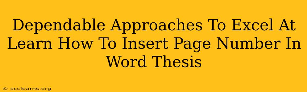 Dependable Approaches To Excel At Learn How To Insert Page Number In Word Thesis