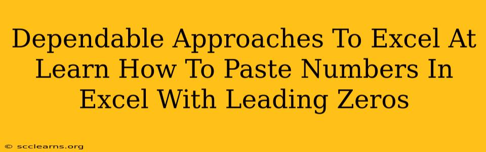 Dependable Approaches To Excel At Learn How To Paste Numbers In Excel With Leading Zeros