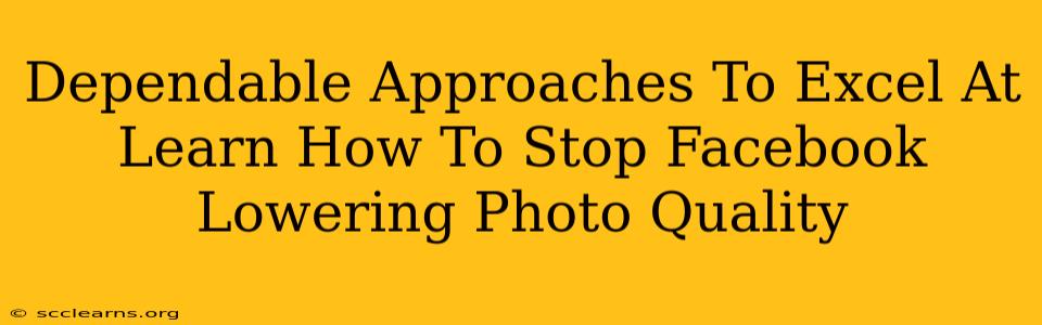 Dependable Approaches To Excel At Learn How To Stop Facebook Lowering Photo Quality