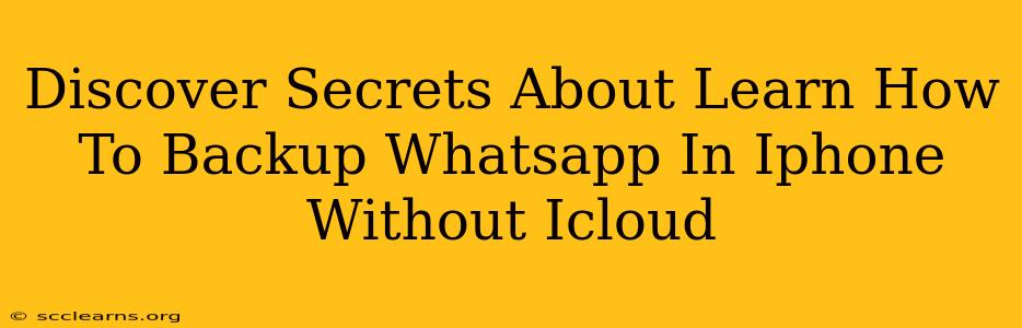 Discover Secrets About Learn How To Backup Whatsapp In Iphone Without Icloud