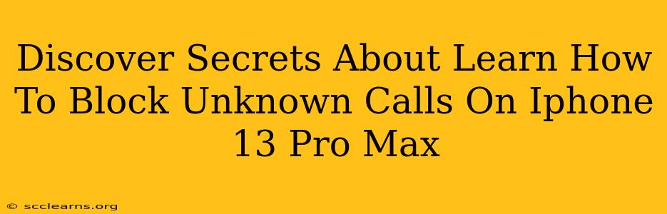 Discover Secrets About Learn How To Block Unknown Calls On Iphone 13 Pro Max