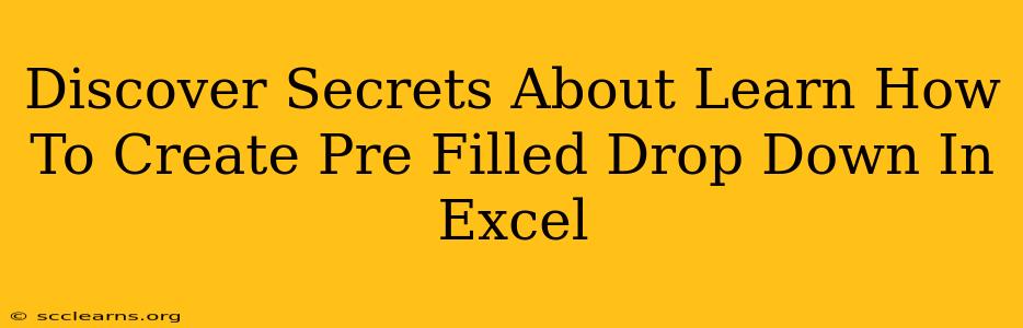 Discover Secrets About Learn How To Create Pre Filled Drop Down In Excel