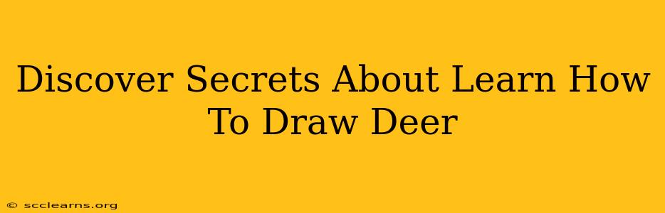 Discover Secrets About Learn How To Draw Deer