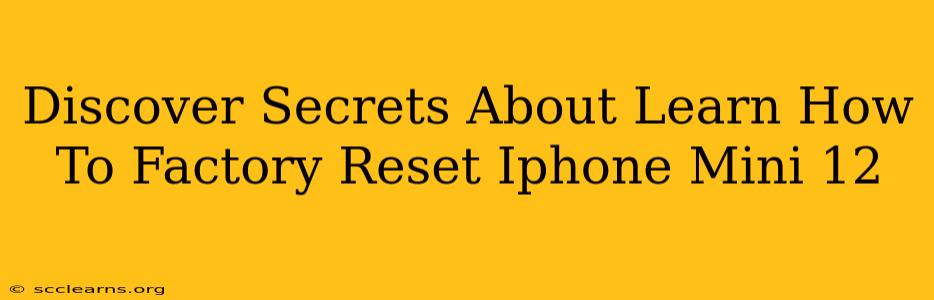 Discover Secrets About Learn How To Factory Reset Iphone Mini 12