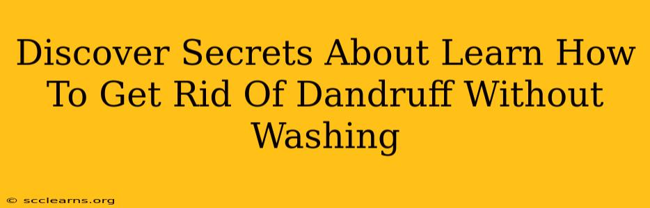 Discover Secrets About Learn How To Get Rid Of Dandruff Without Washing