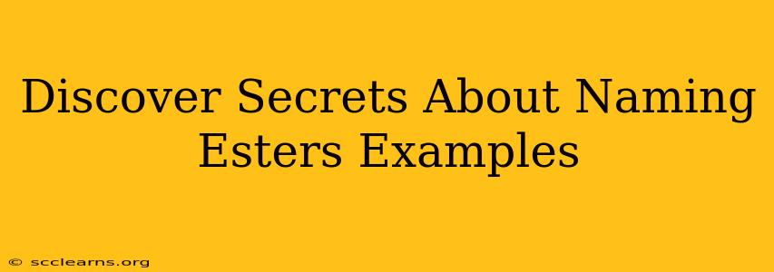 Discover Secrets About Naming Esters Examples