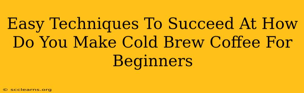 Easy Techniques To Succeed At How Do You Make Cold Brew Coffee For Beginners