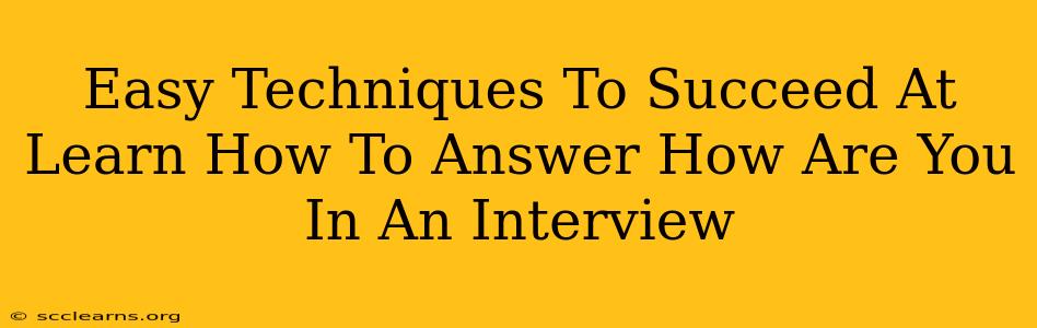 Easy Techniques To Succeed At Learn How To Answer How Are You In An Interview