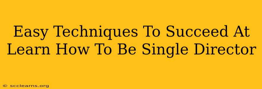 Easy Techniques To Succeed At Learn How To Be Single Director