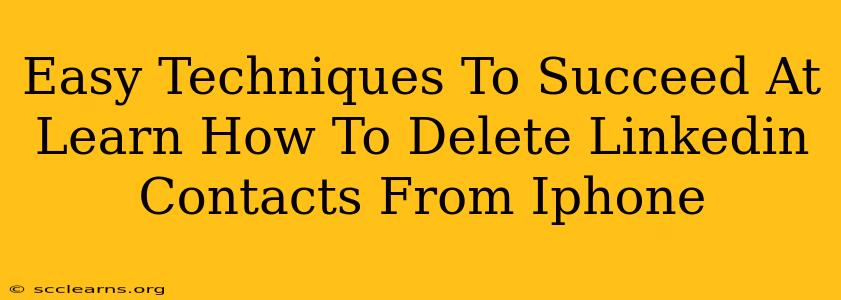 Easy Techniques To Succeed At Learn How To Delete Linkedin Contacts From Iphone