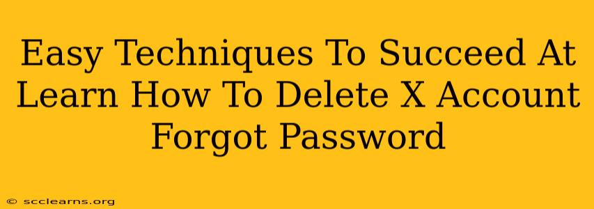 Easy Techniques To Succeed At Learn How To Delete X Account Forgot Password