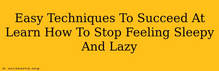 Easy Techniques To Succeed At Learn How To Stop Feeling Sleepy And Lazy