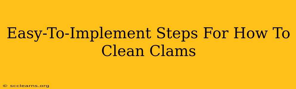 Easy-To-Implement Steps For How To Clean Clams