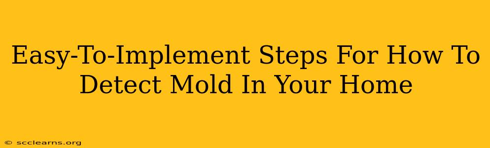 Easy-To-Implement Steps For How To Detect Mold In Your Home