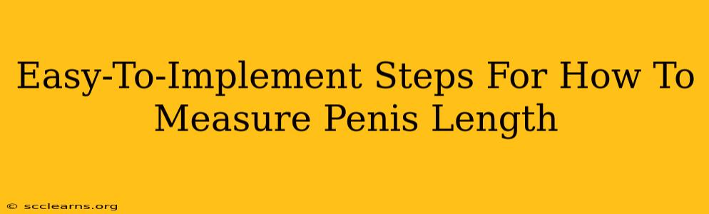 Easy-To-Implement Steps For How To Measure Penis Length