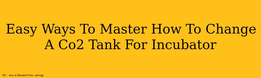 Easy Ways To Master How To Change A Co2 Tank For Incubator