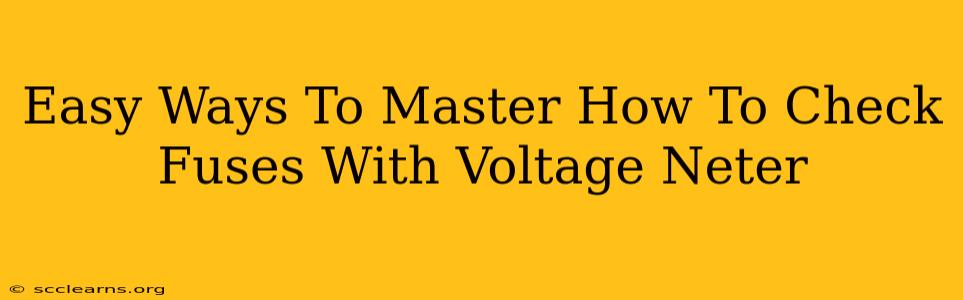 Easy Ways To Master How To Check Fuses With Voltage Neter