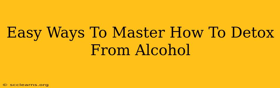 Easy Ways To Master How To Detox From Alcohol