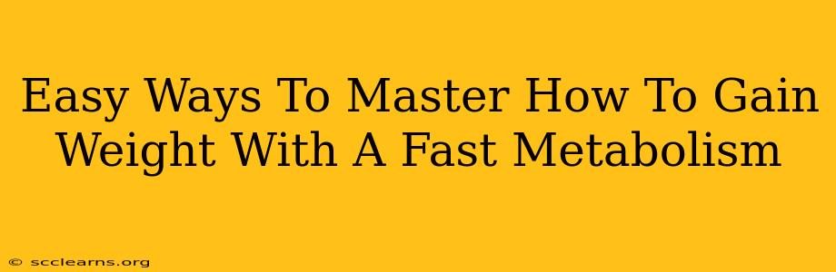 Easy Ways To Master How To Gain Weight With A Fast Metabolism