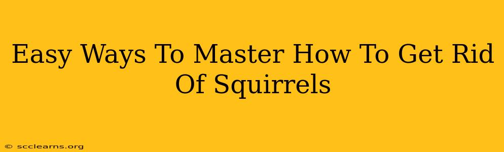 Easy Ways To Master How To Get Rid Of Squirrels