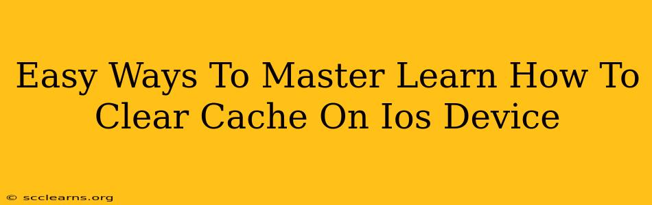 Easy Ways To Master Learn How To Clear Cache On Ios Device