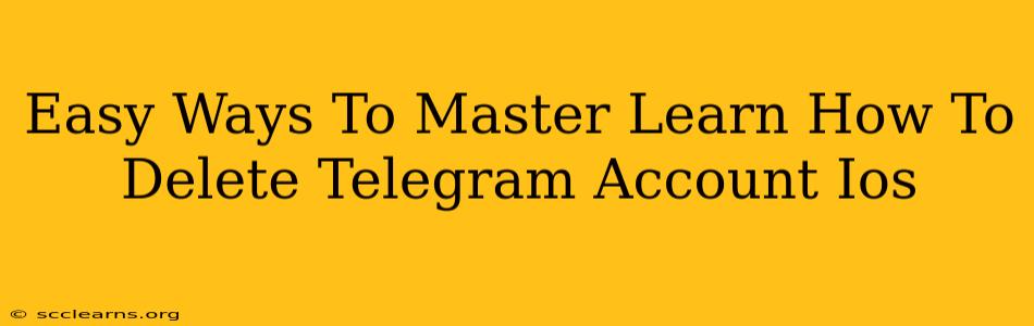 Easy Ways To Master Learn How To Delete Telegram Account Ios