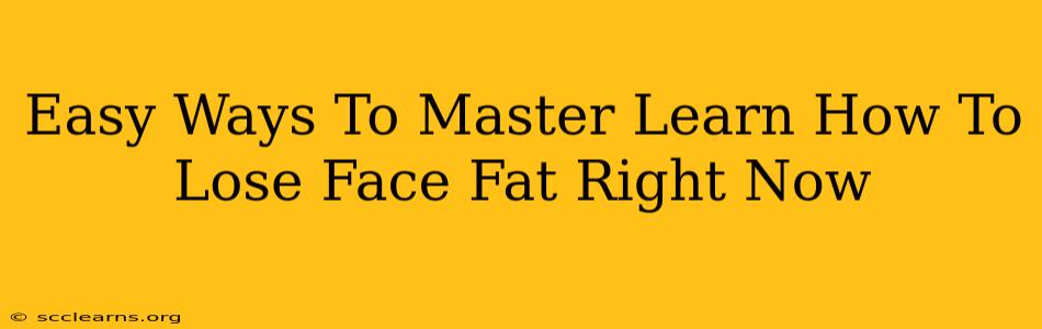 Easy Ways To Master Learn How To Lose Face Fat Right Now