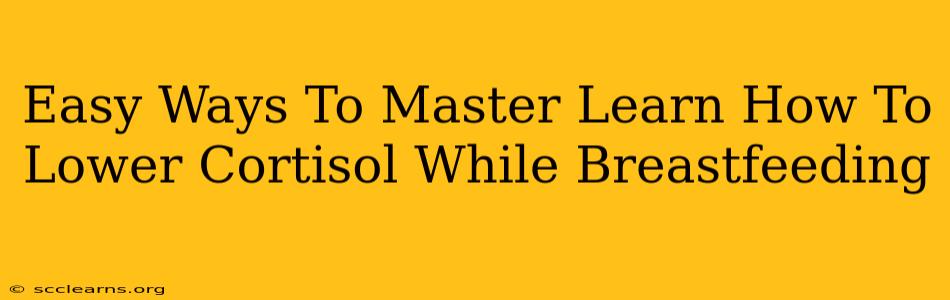 Easy Ways To Master Learn How To Lower Cortisol While Breastfeeding