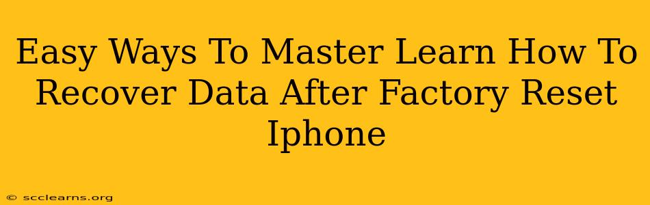 Easy Ways To Master Learn How To Recover Data After Factory Reset Iphone