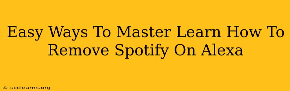 Easy Ways To Master Learn How To Remove Spotify On Alexa