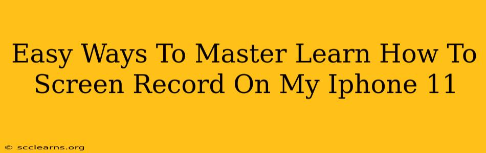 Easy Ways To Master Learn How To Screen Record On My Iphone 11