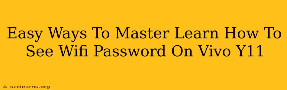 Easy Ways To Master Learn How To See Wifi Password On Vivo Y11
