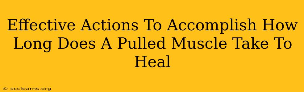 Effective Actions To Accomplish How Long Does A Pulled Muscle Take To Heal