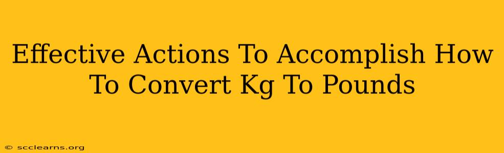 Effective Actions To Accomplish How To Convert Kg To Pounds