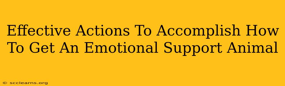 Effective Actions To Accomplish How To Get An Emotional Support Animal