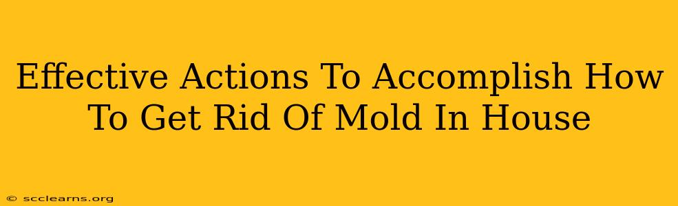 Effective Actions To Accomplish How To Get Rid Of Mold In House