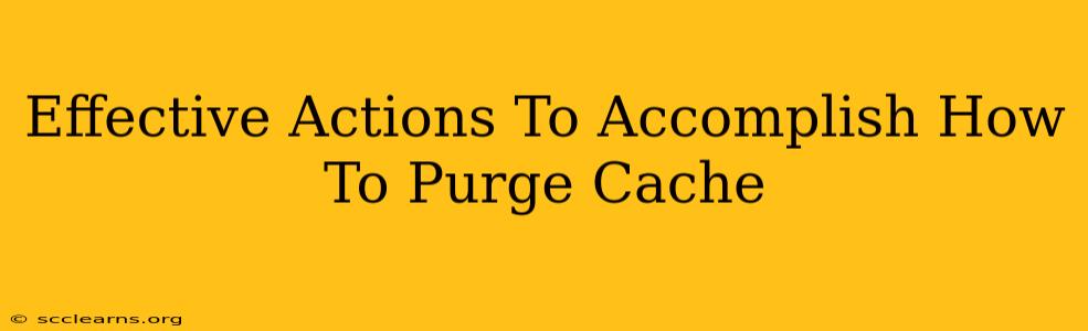 Effective Actions To Accomplish How To Purge Cache