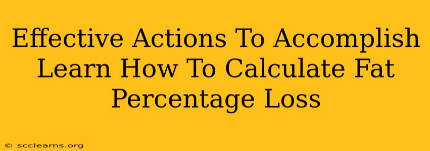 Effective Actions To Accomplish Learn How To Calculate Fat Percentage Loss