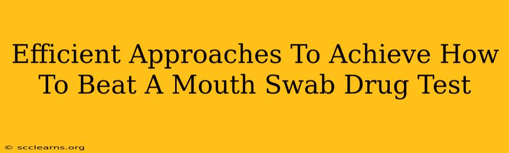 Efficient Approaches To Achieve How To Beat A Mouth Swab Drug Test