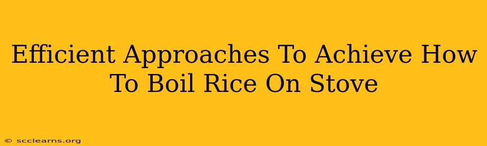 Efficient Approaches To Achieve How To Boil Rice On Stove