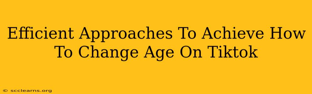 Efficient Approaches To Achieve How To Change Age On Tiktok