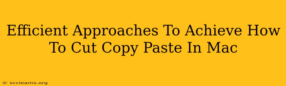 Efficient Approaches To Achieve How To Cut Copy Paste In Mac