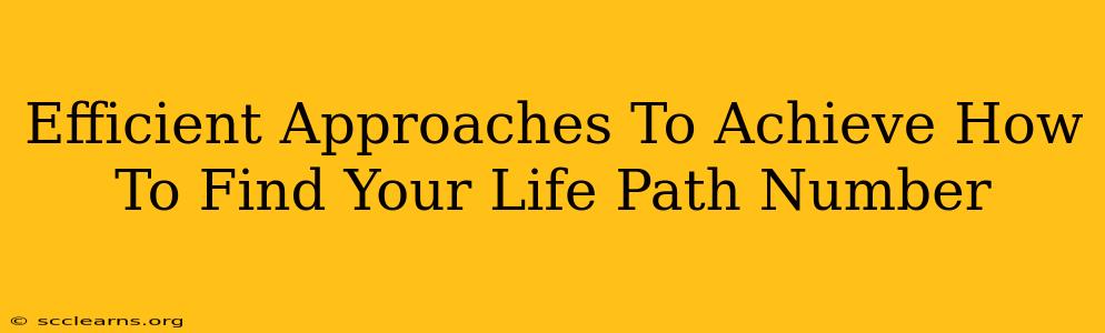 Efficient Approaches To Achieve How To Find Your Life Path Number