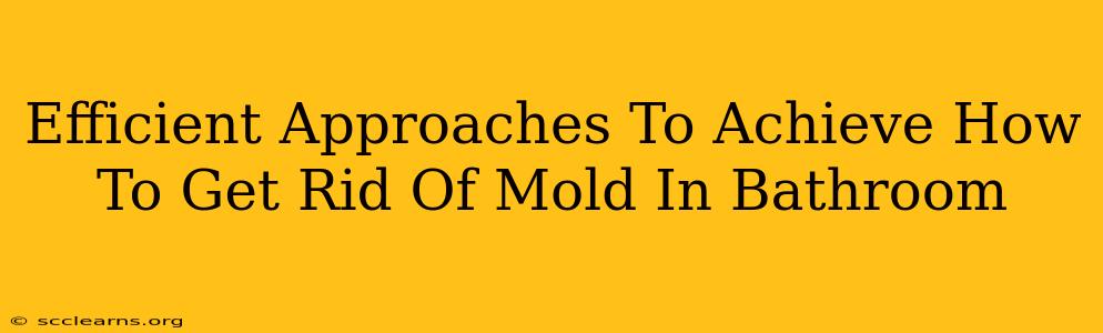 Efficient Approaches To Achieve How To Get Rid Of Mold In Bathroom