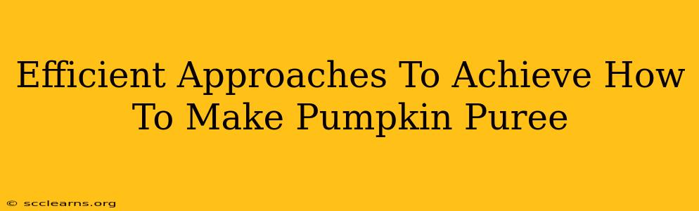 Efficient Approaches To Achieve How To Make Pumpkin Puree