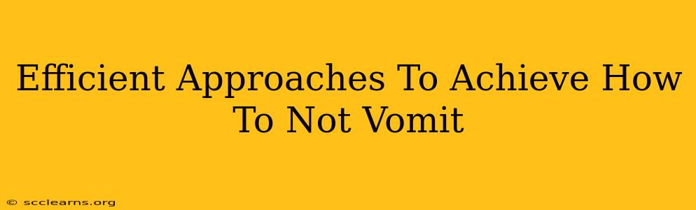 Efficient Approaches To Achieve How To Not Vomit