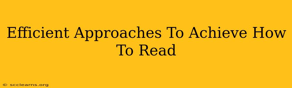 Efficient Approaches To Achieve How To Read