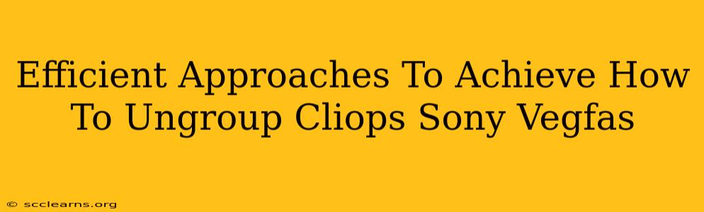 Efficient Approaches To Achieve How To Ungroup Cliops Sony Vegfas